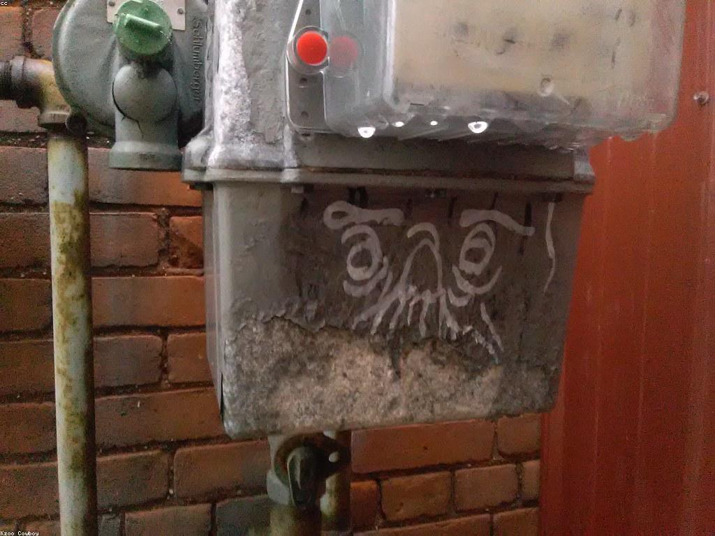 ហ្គេមត្រីសមុទ្រ: បទពិសោធន៍ជាមួយត្រីសមុទ្រក្រេបប្រៃ