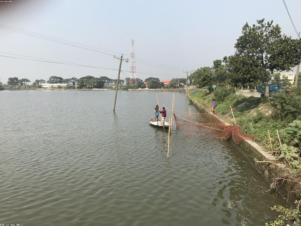 ការយល់ដឹងអំពីយុទ្ធសាស្ត្រ​បាញ់ត្រី