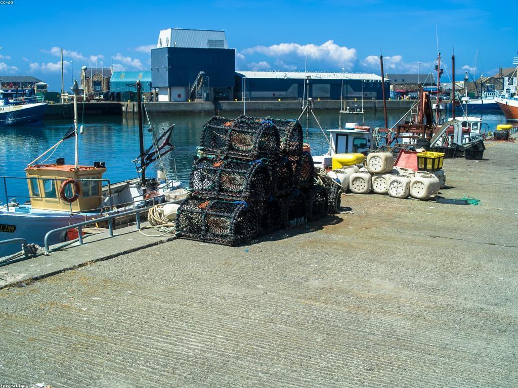 យុទ្ធសាស្ត្របាញ់ត្រី: ការប្រើប្រាស់និងយុទ្ធសាស្ត្រដែលអាចជួយអ្នកឲ្យបានជោគជ័យ