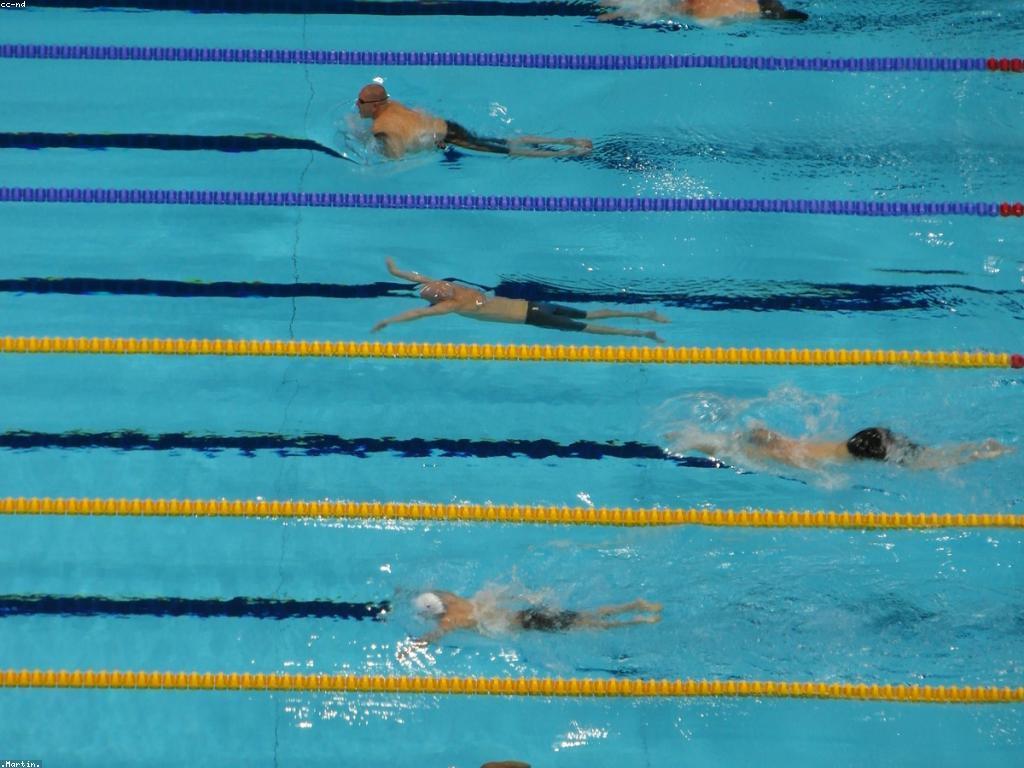 ការស្វែងយល់អំពីភាពចម្រើននៃហ្គេមត្រីសមុទ្រ