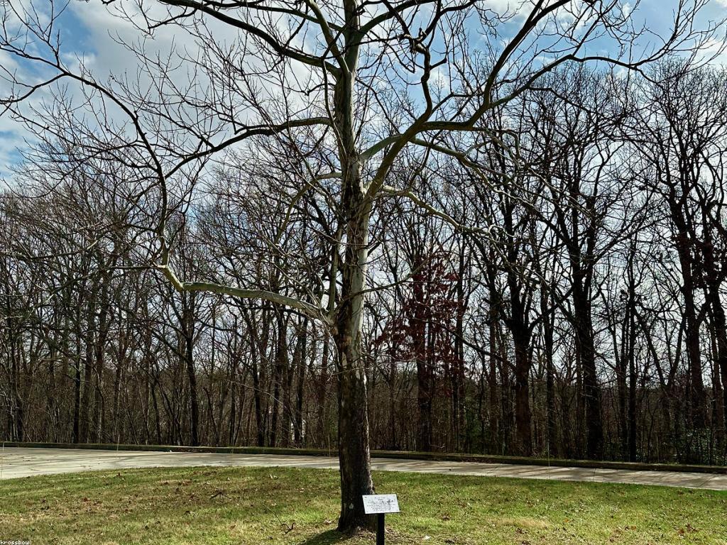 សារៈសំខាន់នៃព្រឹត្តិការណ៍និងពិន្ទុក្នុងអប់រំ