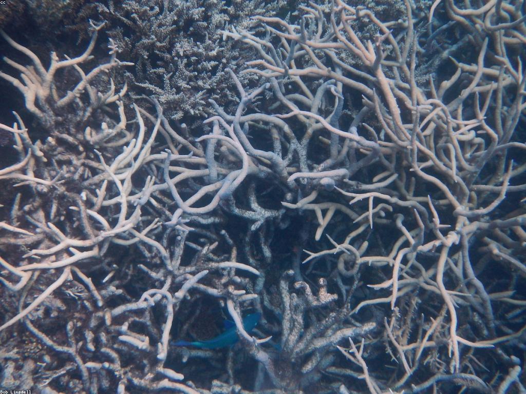 α ααααααααΈααα»ααα: αααα·αααααααΆαα½αααααΈααα»αααααααααααα